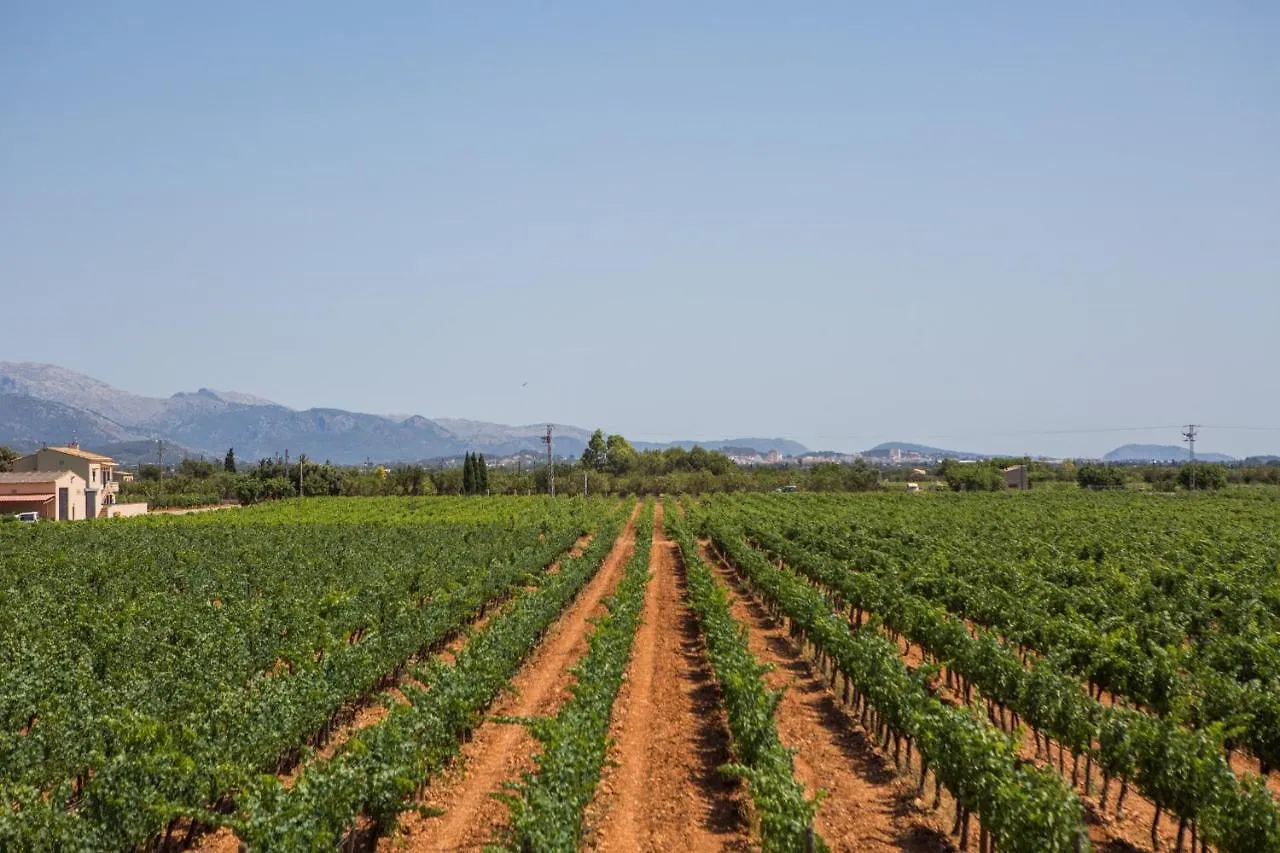 Cas Berbon Villa Binissalem Spain
